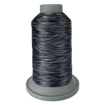 Hilo de poliéster variegado Zebra Affinity - 60461