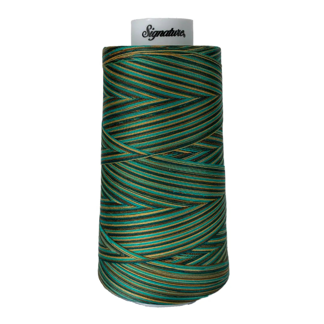 Fil varié en coton signature F251 Atlantis