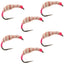 Utah Killer Bug Tenkara Flies - Set of 6, Size 10 - Korvel