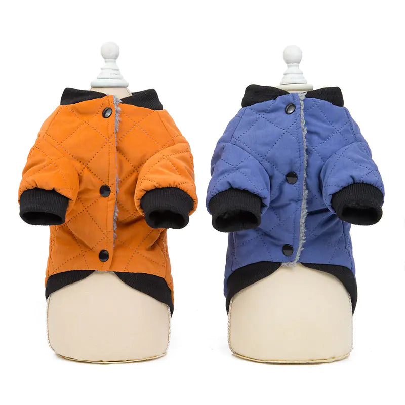 Chaqueta Acolchada para Perros Linda para Otoño/Invierno