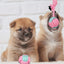 Juguetes de Masticar para Perros Premium para Perros Felices