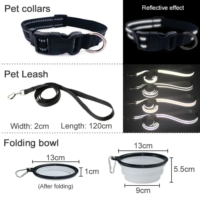 Premium Pet Travel Carrier Bag for Adventurous Outings
