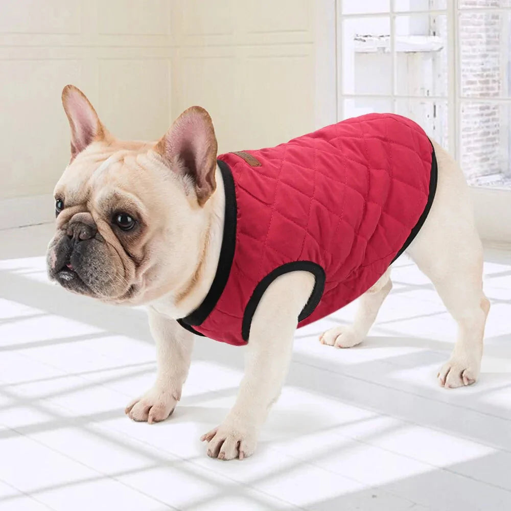 Premium Dog Winter Jacket for Ultimate Comfort
