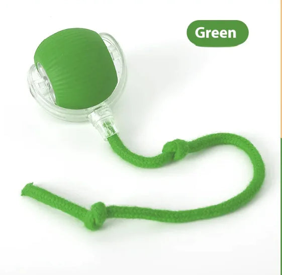 Interactive Cat Toy Ball with Motion Sensor and Chirping Sounds