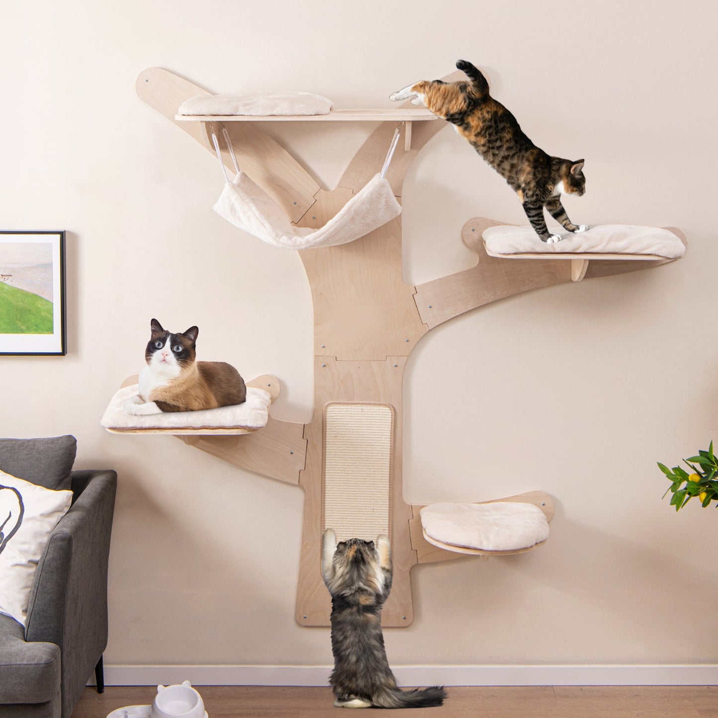 Torre para Gatos Montada en la Pared de Calidad Premium con Hamaca y Alfombrilla para Rascar