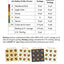 Warm Woodlands Paper Booklets Pattern