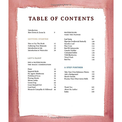 Nature's Palette: Master Woodland Wildlife and Botanicals with 20 Easy Projects (Spiral Bound) - Korvel