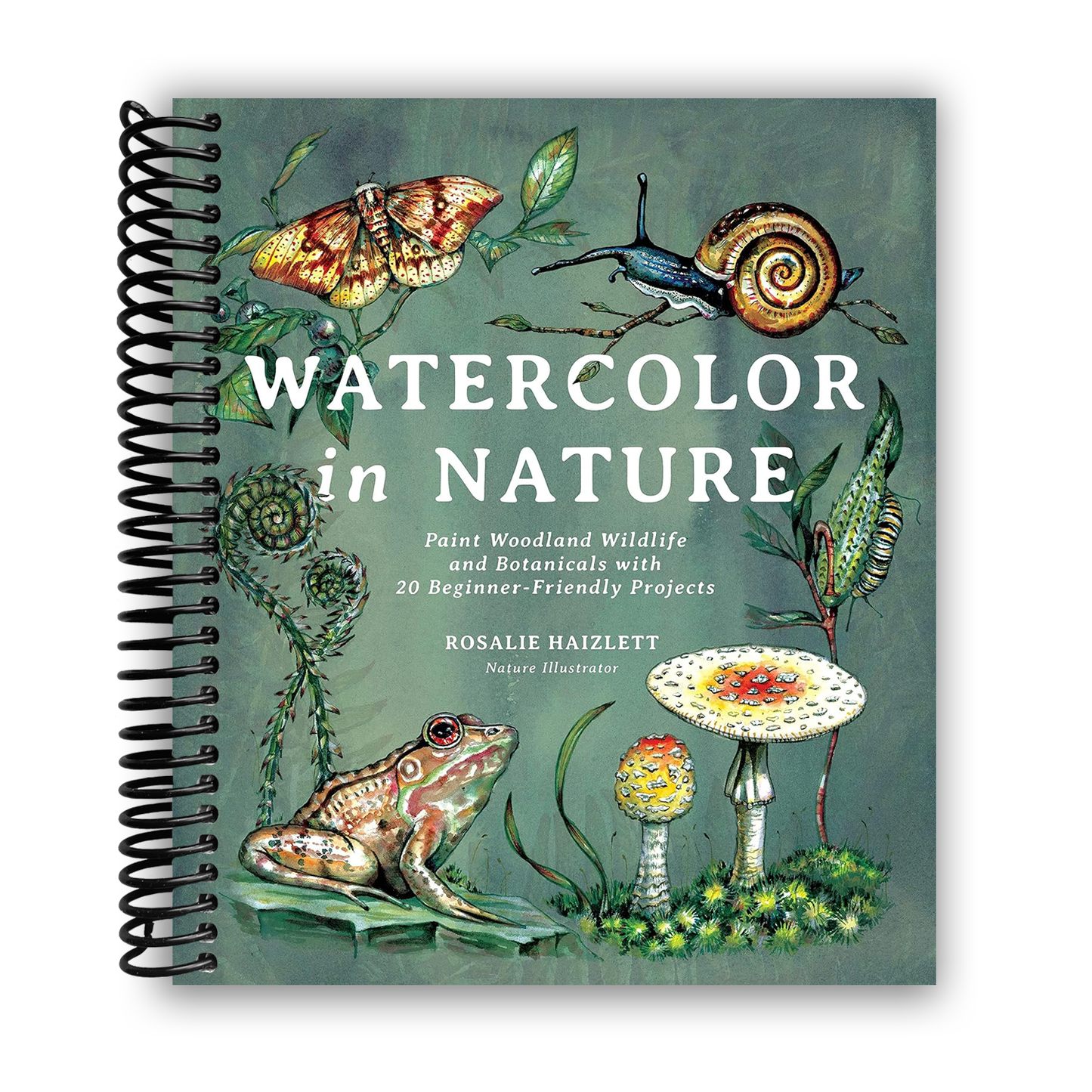 Nature's Palette: Master Woodland Wildlife and Botanicals with 20 Easy Projects (Spiral Bound) - Korvel