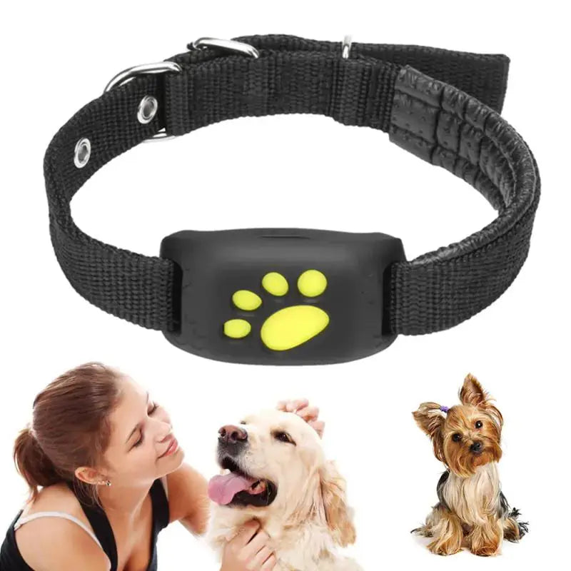 Collier de suivi GPS pour animaux de compagnie Premium
