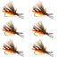 West Fork Salmonfly Stone - Ensemble de Mouches Sèches Premium - Taille 6