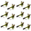 Mosca Secas Western Green Drake - Tamaño 10 (Paquete de 12)