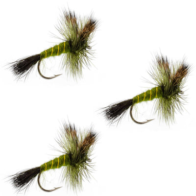 Pack de 3 mouches noyées Western Green Drake - Taille 8