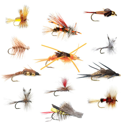 Premium Trout Fly Collection - 12 Essential Dry and Nymph Patterns for Western Fishing Adventures - Korvel