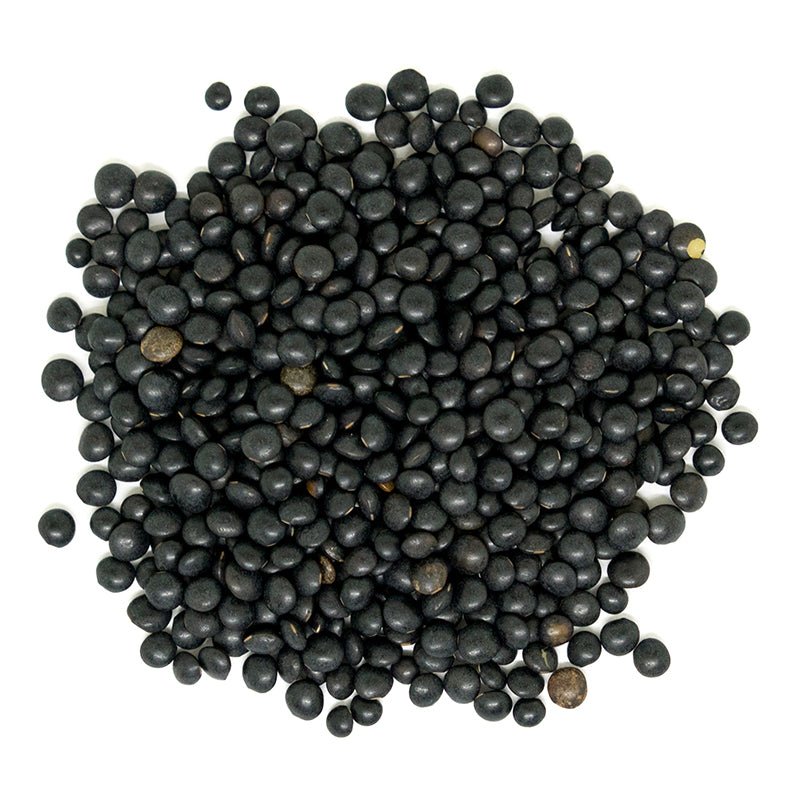 Organic Beluga Black Lentils - Nutrient-Rich Superfood - Korvel