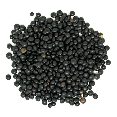 Organic Beluga Black Lentils - Nutrient-Rich Superfood - Korvel