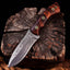 KBS Knives - 'Wilderness Warrior' Premium Custom Damascus Steel Hunting Knife with Elegant Rosewood Handle - Korvel