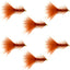 Premium Brown Bead Head Woolly Bugger Streamer Flies - Pack of 6 for Trout Fishing - Size 4 - Korvel