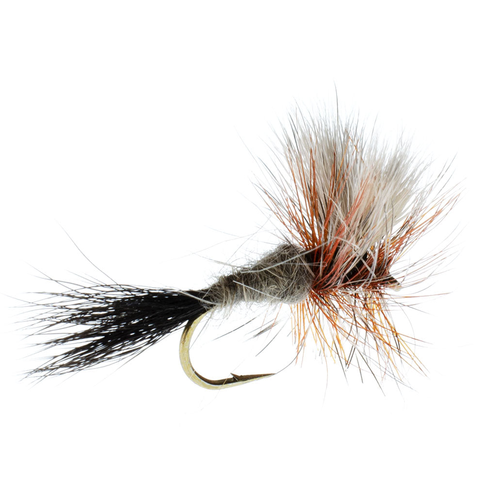 Ausable Wulff Premium Dry Fly Collection - 12 Size 12 Flies - Korvel