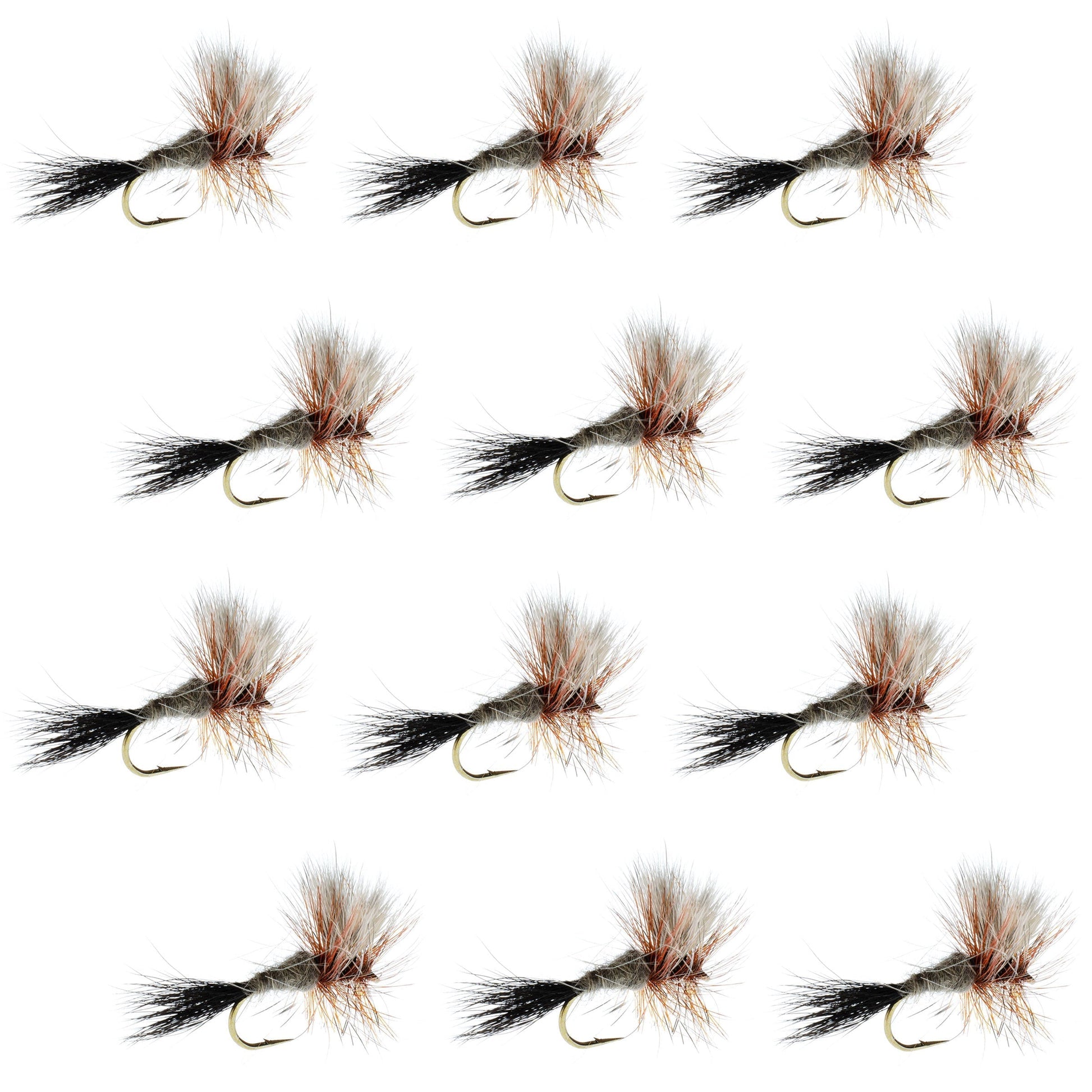Ausable Wulff Premium Dry Fly Collection - 12 Size 12 Flies - Korvel