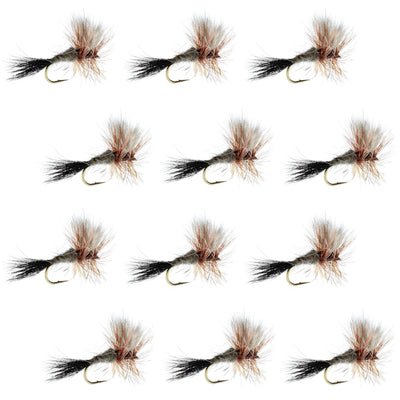 Ausable Wulff Premium Dry Fly Collection - 12 Size 12 Flies - Korvel