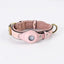 Premium Leather Anti-Lost Dog Collar with AirTag Holder