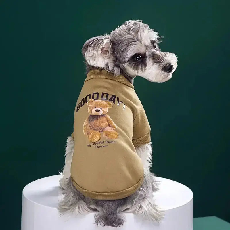 Bear Embrace Pullover for Pets