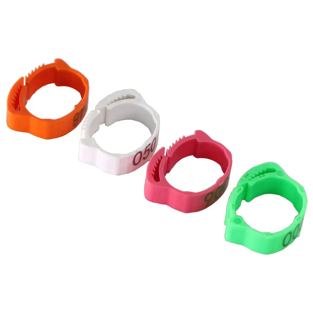 Anillos para patas de pollo - Edición Clucktastic