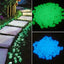 Galets Lumineux dans le Noir pour le Jardin