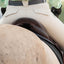 Abbey Knee Patch Tread Breech