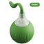 Interactive Cat Toy Ball with Motion Sensor and Chirping Sounds