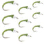 Premium Olive Zebra Midge Fly Assortment - Sizes 14, 16, 18 (Set of 9) - Korvel