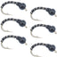 Premium Black Zebra Midge Nymph - Bead Head - 6 Pack Size 16 - Ideal for Tailwater & Lake Fishing - Korvel