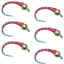 Red Zebra Midge Bead Head Nymph Flies - Size 14 (Pack of 6) - Korvel