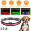 Collar LED para Perros GBruno USB - Visibilidad Nocturna Mejorada