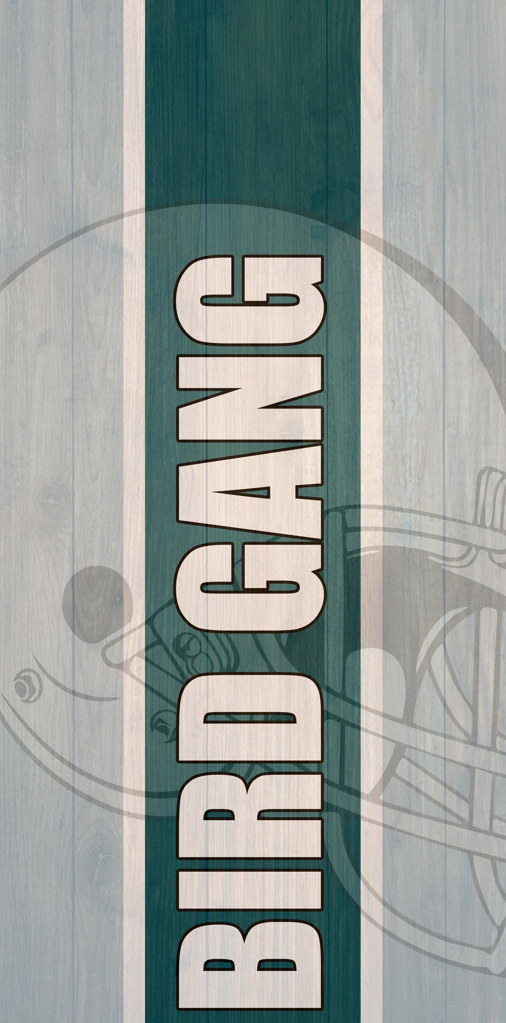 Philadelphia Eagles Themed Cornhole Boards - Premium Quality & Regulation Size - Korvel