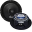 Audiopipe APMB8FLT 8" High-Performance Flat Speaker - 300W Power - Korvel