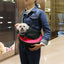 GBruno Transporteur Premium pour Animaux de Compagnie pour Chiens et Chats