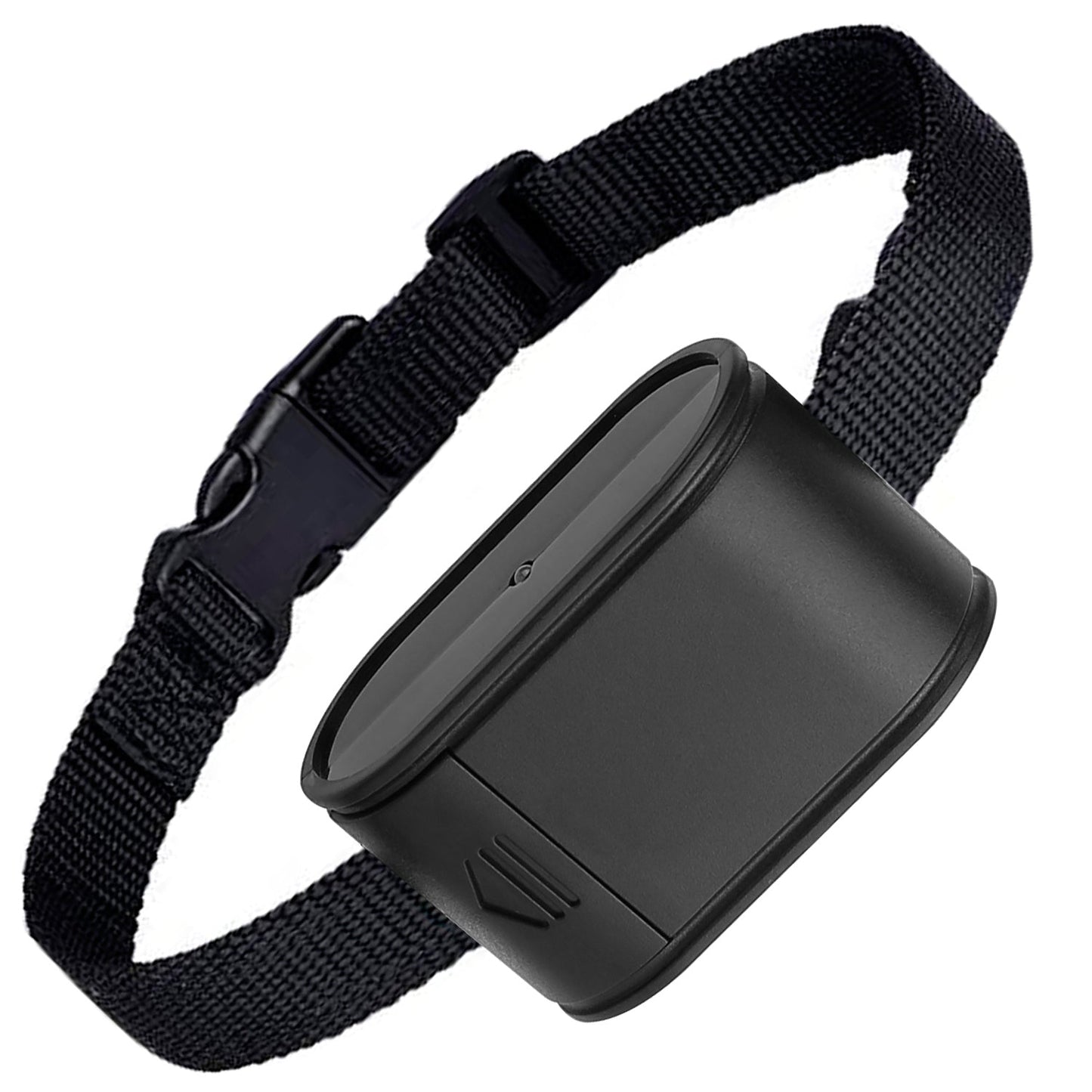 Récepteur de collier électrique GBruno pour chien pour l'entraînement
