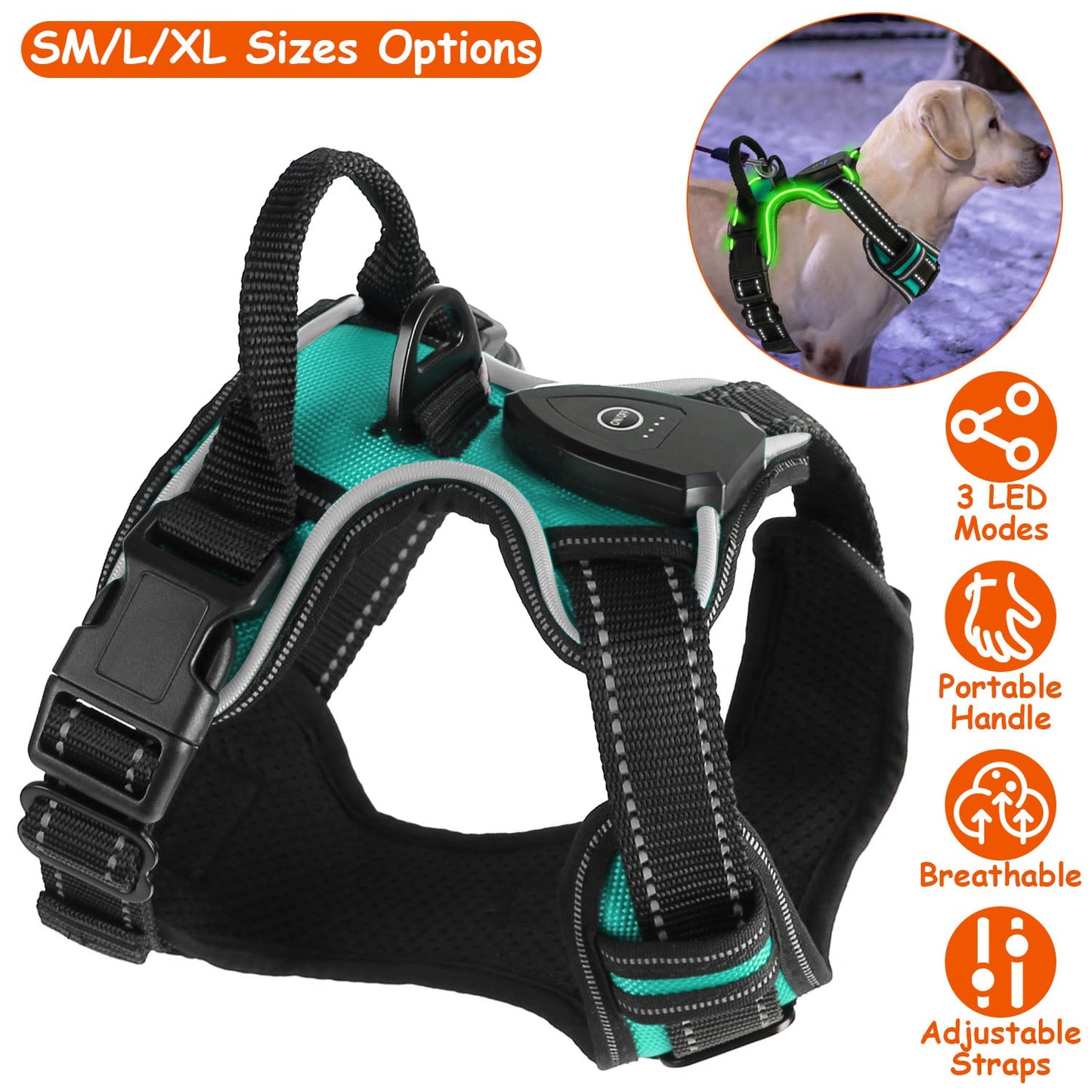 Harnais LED rechargeable pour chien - Gilet lumineux sans traction