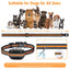 GBruno 2 En 1 Clôture GPS pour Chien