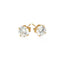 Boucles d'oreilles en or jaune 14k avec zircon cubique
