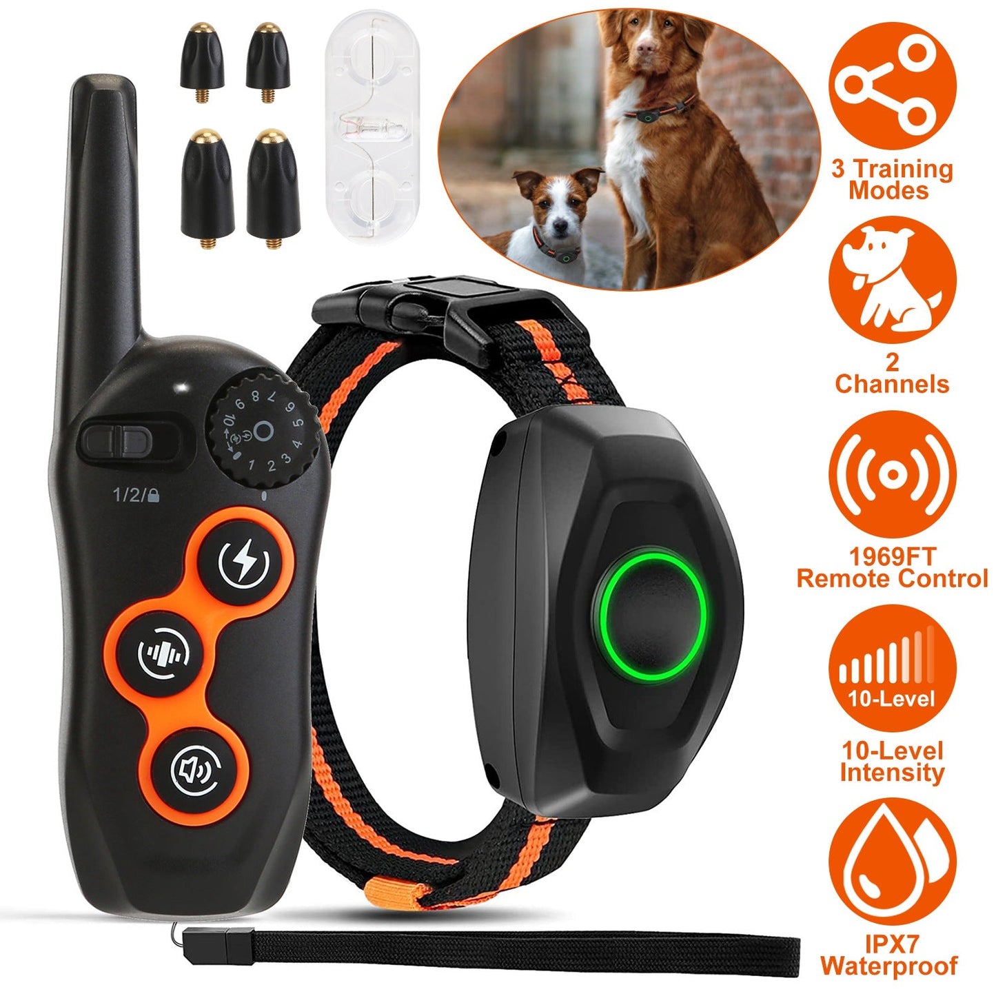 Collar de Entrenamiento para Perros Impermeable GBruno