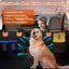 GBruno Dog Car Back Seat Cover