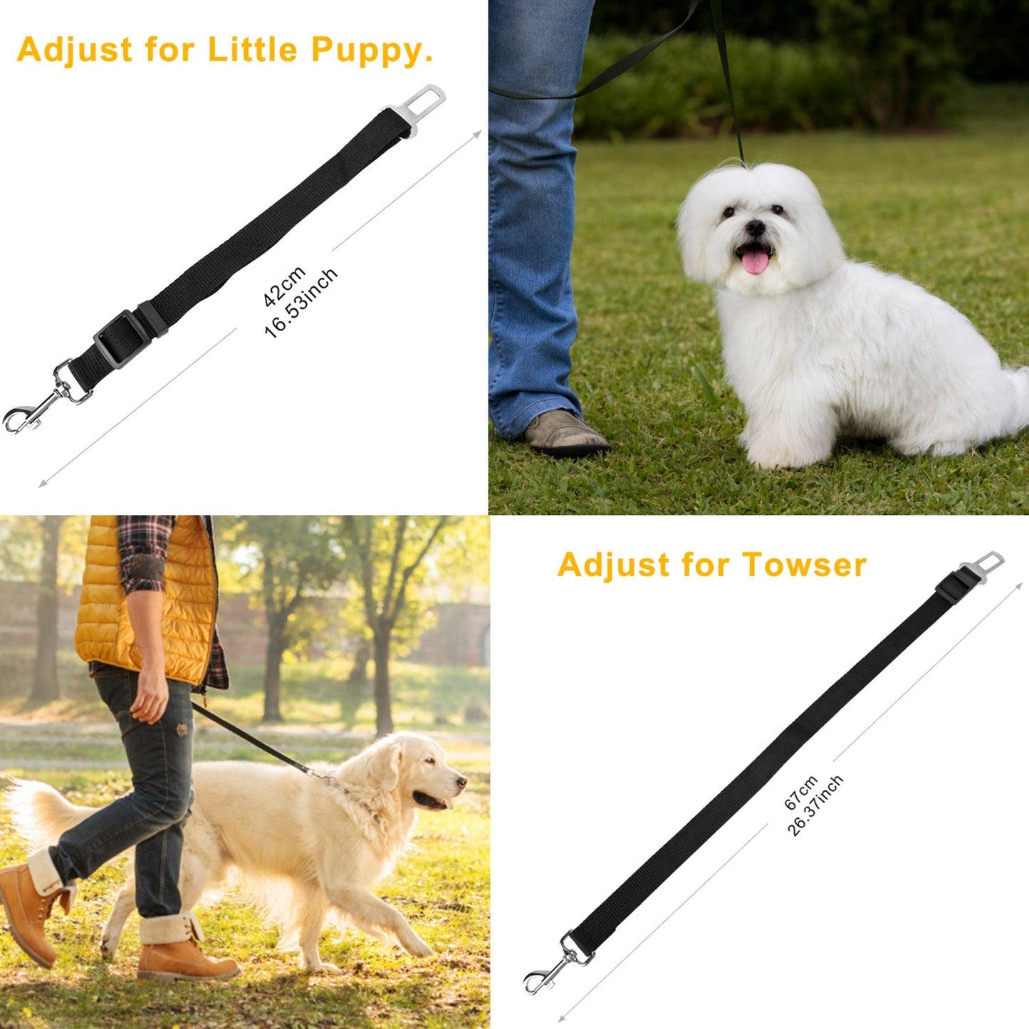 Ceinture de sécurité pour chien GBruno sans les mains - Pack de 2