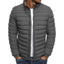 Veste en duvet en coton pour hommes pour l'automne et l'hiver