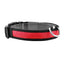GBruno LED Dog Collar - High Visibility Safety