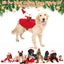Costumes de Noël pour animaux de compagnie GBruno