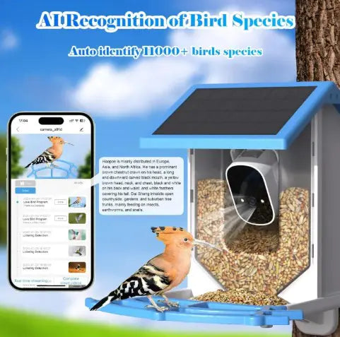Nourrisseur à oiseaux solaire intelligent avec caméra