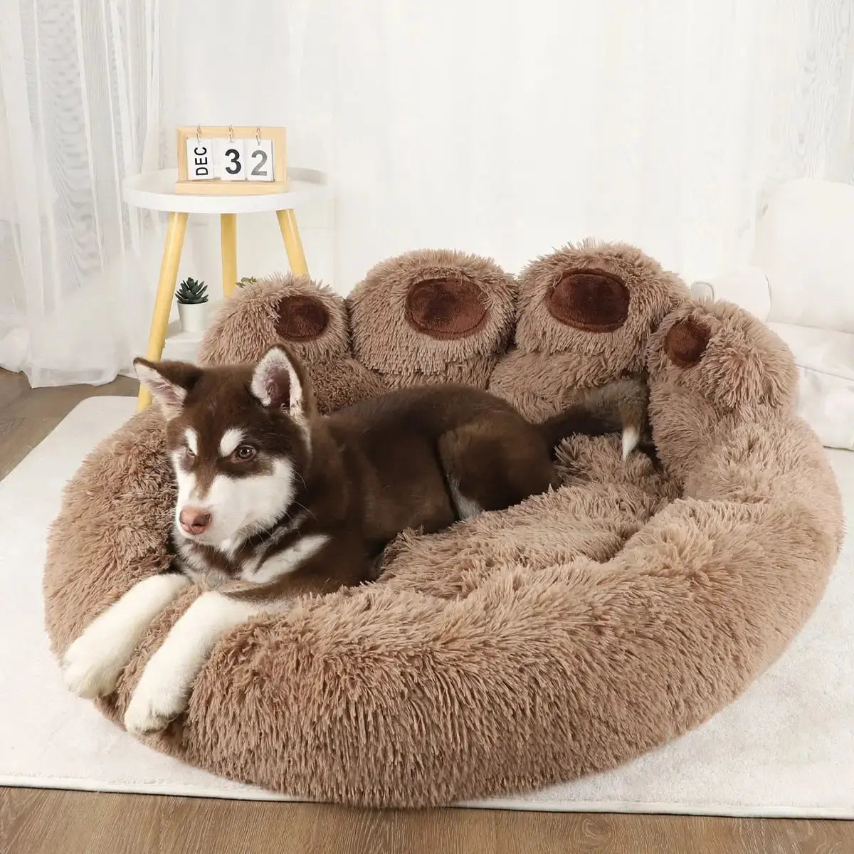 Camas Sofá para Perros Premium para Máxima Comodidad