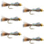 Premium Tungsten Bead Head Nymph Flies - Flashback Gold Ribbed Hare's Ear - 6 Pack Size 14 - Korvel